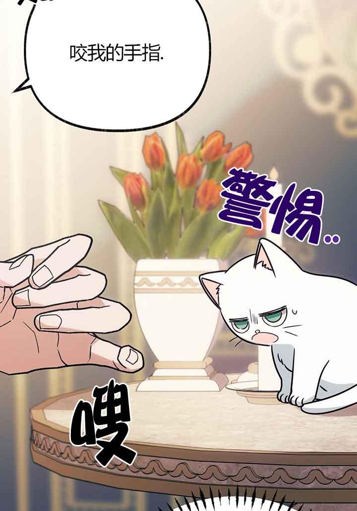 成了每晚和偏执暴君共眠的猫 - 第02话 - 第7张图