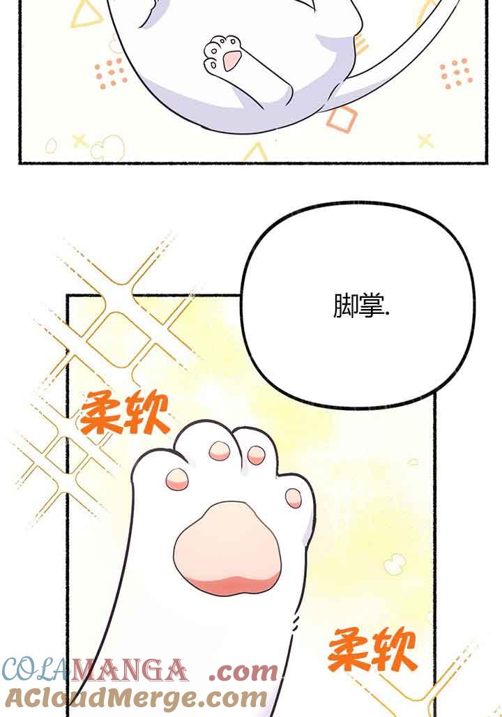 成了每晚和偏执暴君共眠的猫 - 第02话 - 第5张图