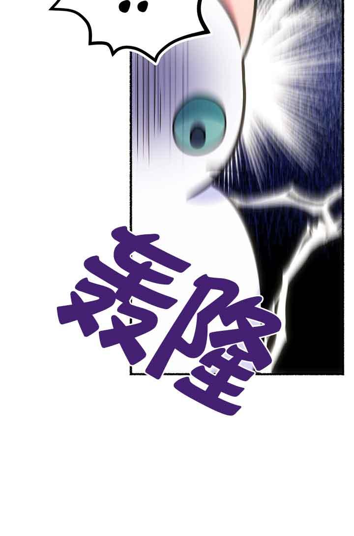 成了每晚和偏执暴君共眠的猫 - 第02话 - 第39张图