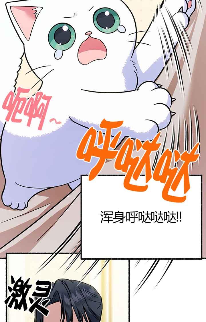 成了每晚和偏执暴君共眠的猫 - 第02话 - 第91张图