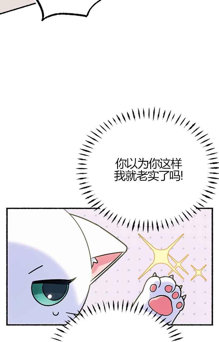 成了每晚和偏执暴君共眠的猫 - 第02话 - 第95张图
