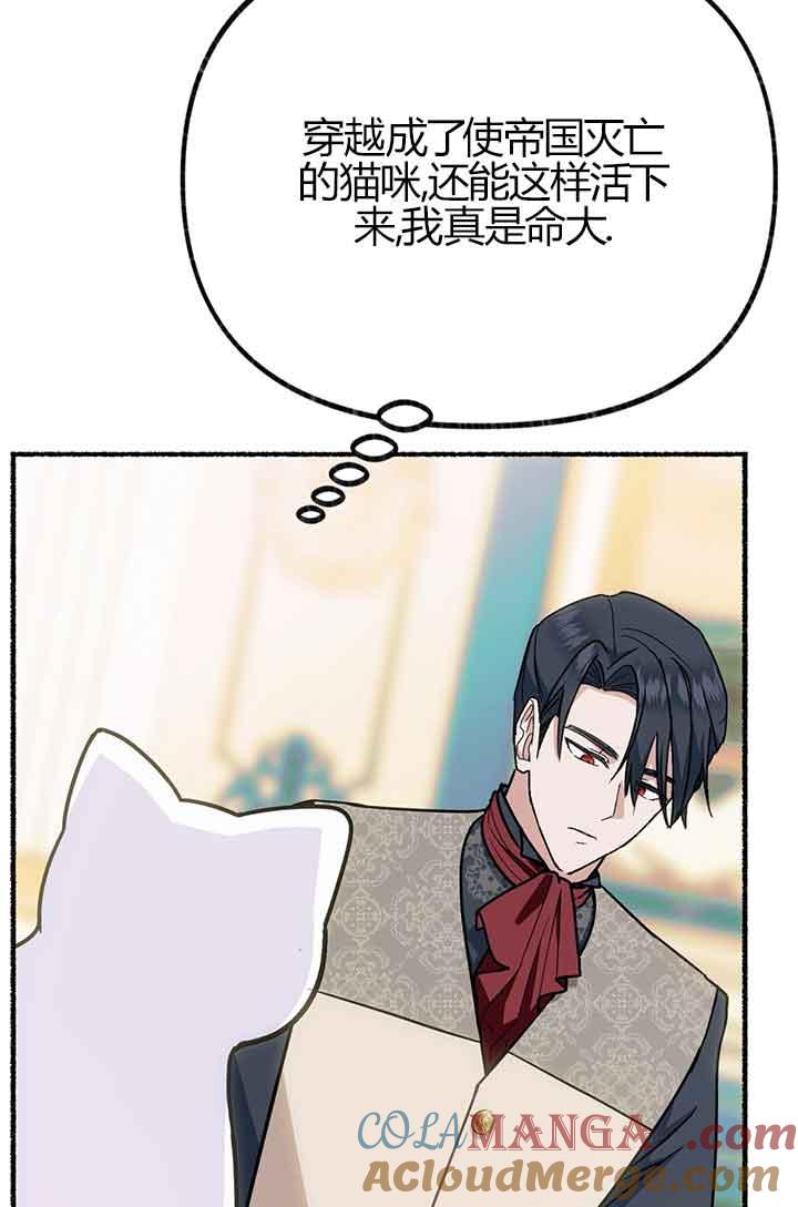 成了每晚和偏执暴君共眠的猫 - 第02话 - 第25张图