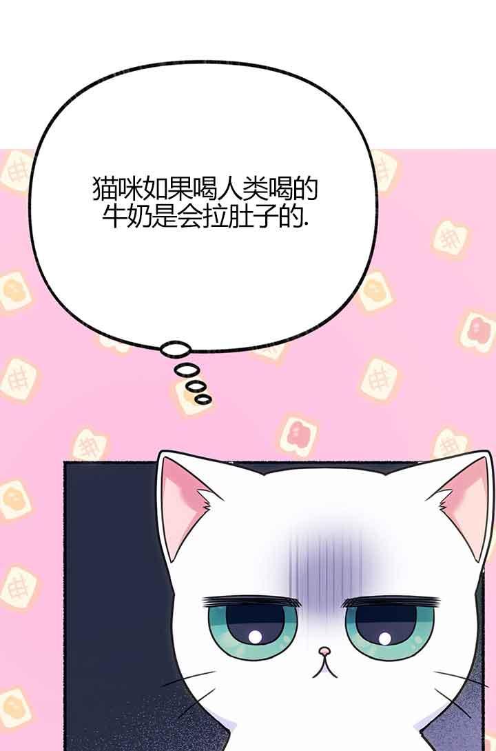 成了每晚和偏执暴君共眠的猫 - 第02话 - 第35张图