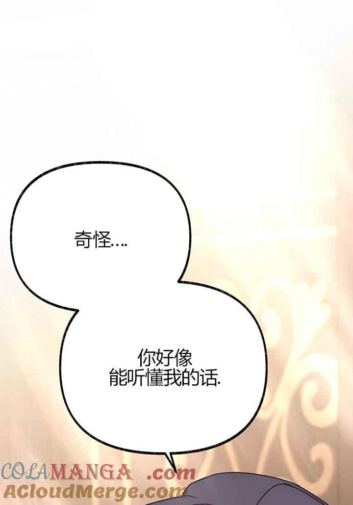 成了每晚和偏执暴君共眠的猫 - 第02话 - 第13张图