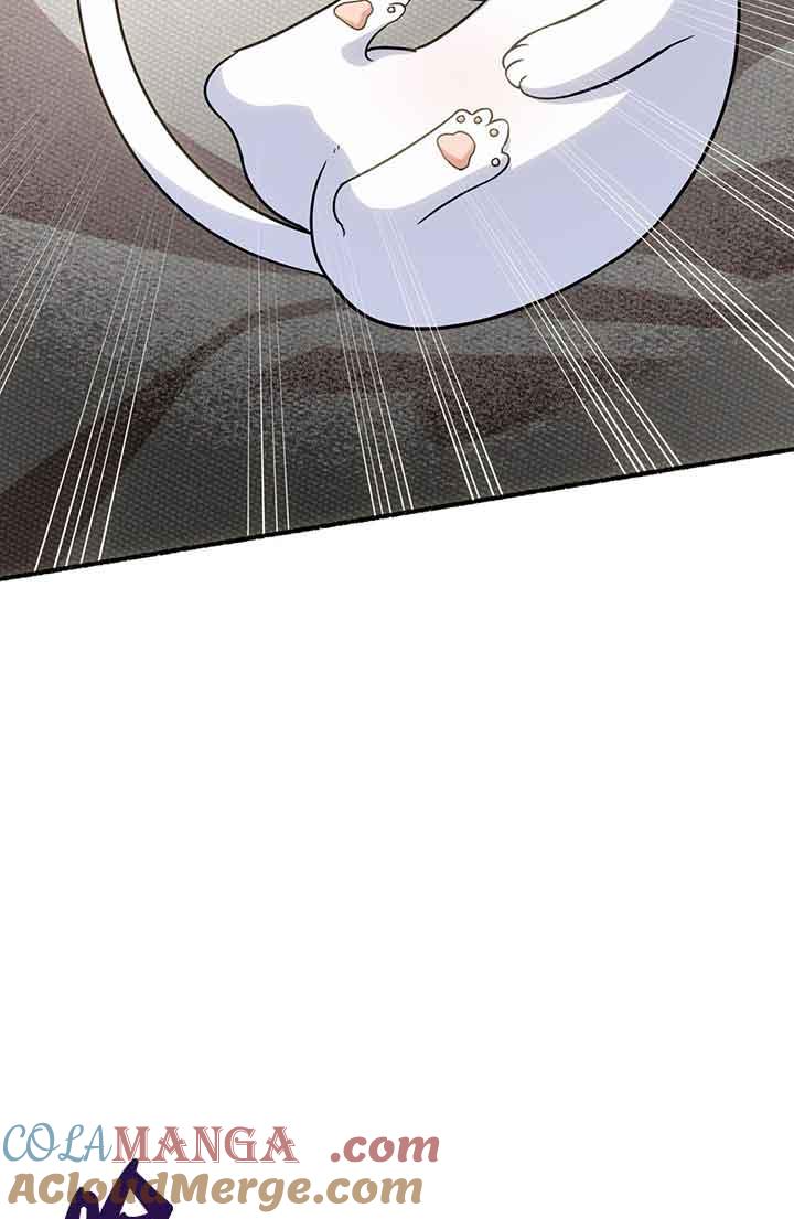 成了每晚和偏执暴君共眠的猫 - 第02话 - 第53张图