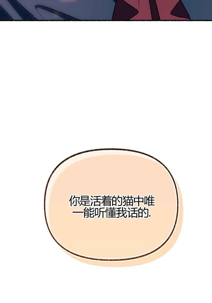 成了每晚和偏执暴君共眠的猫 - 第02话 - 第15张图