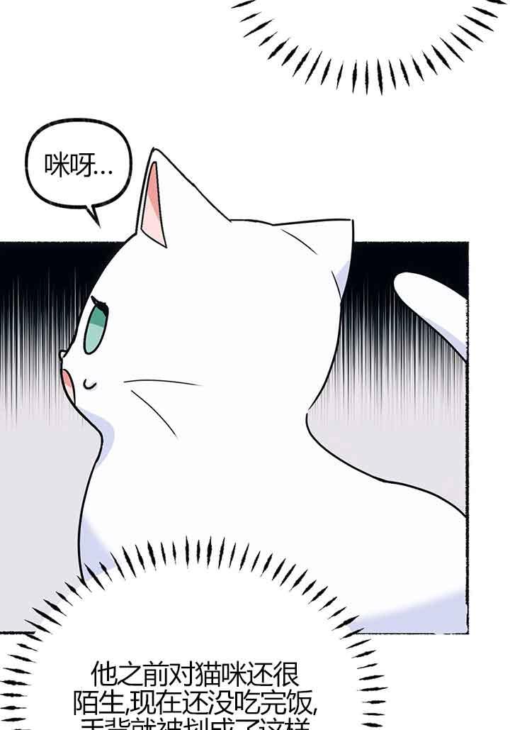 成了每晚和偏执暴君共眠的猫 - 第02话 - 第111张图