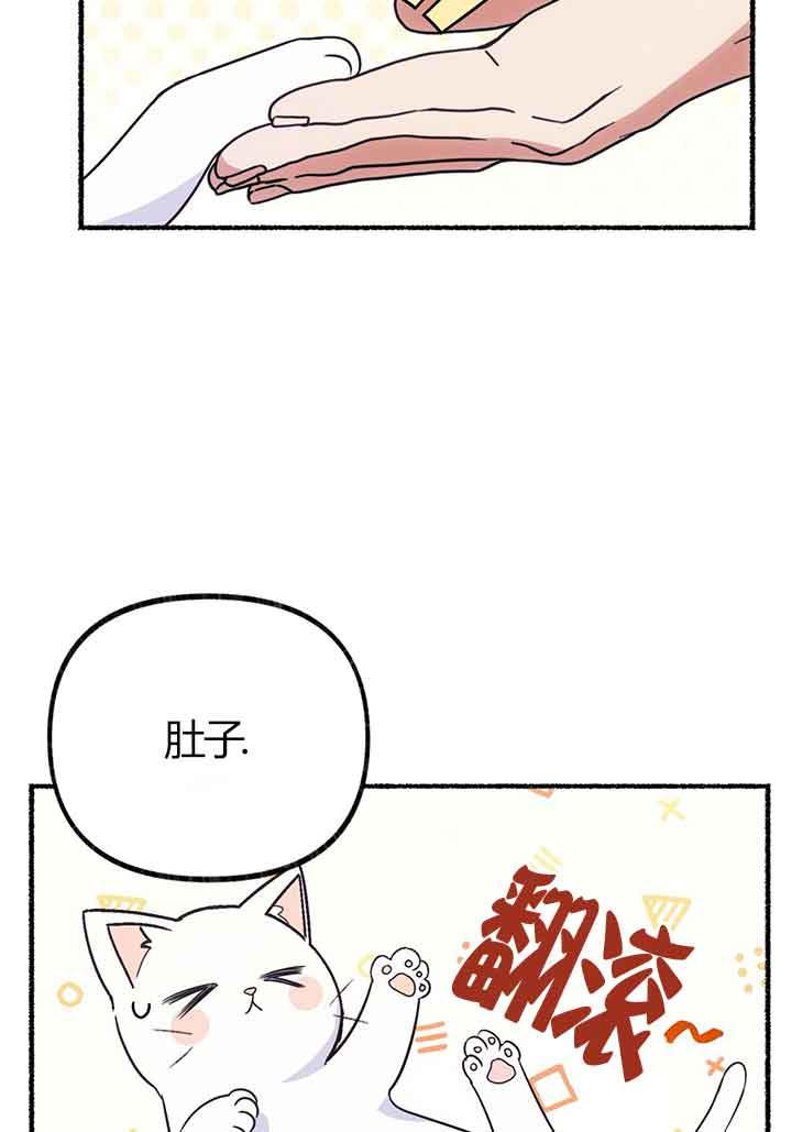 成了每晚和偏执暴君共眠的猫 - 第02话 - 第4张图