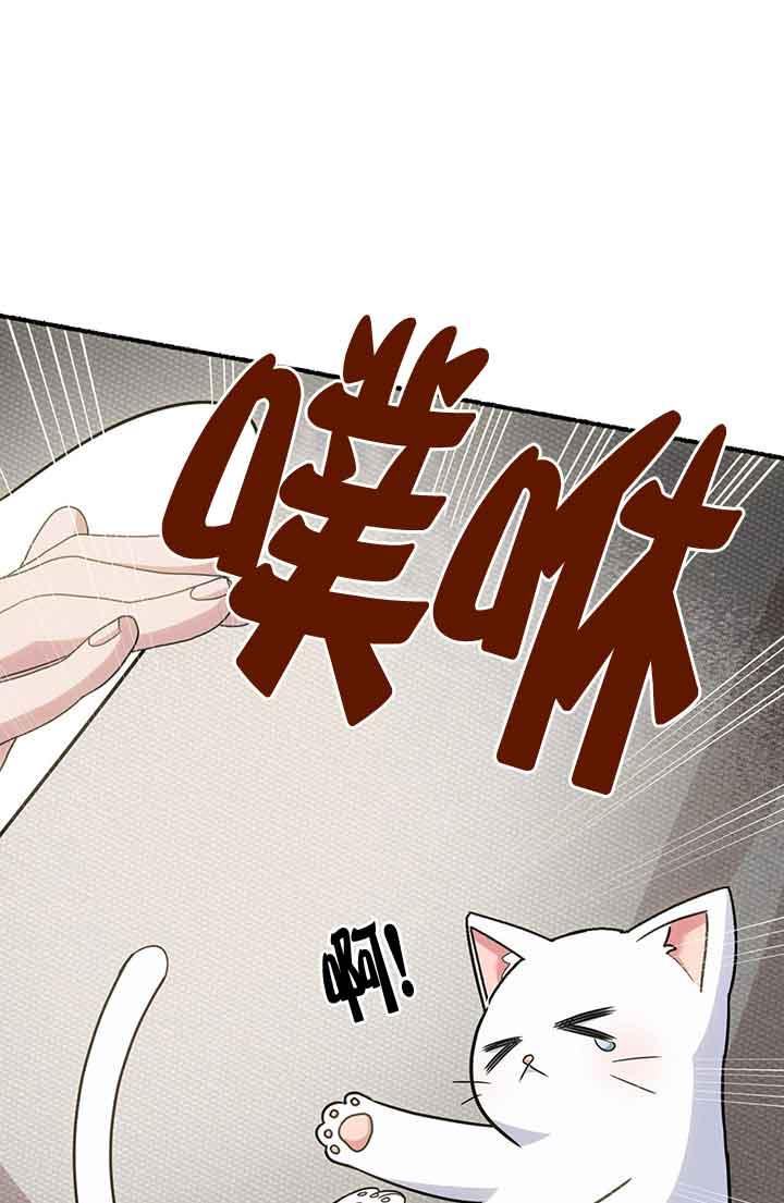 成了每晚和偏执暴君共眠的猫 - 第02话 - 第52张图