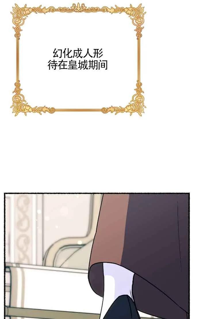 成了每晚和偏执暴君共眠的猫 - 第31话 - 第44张图