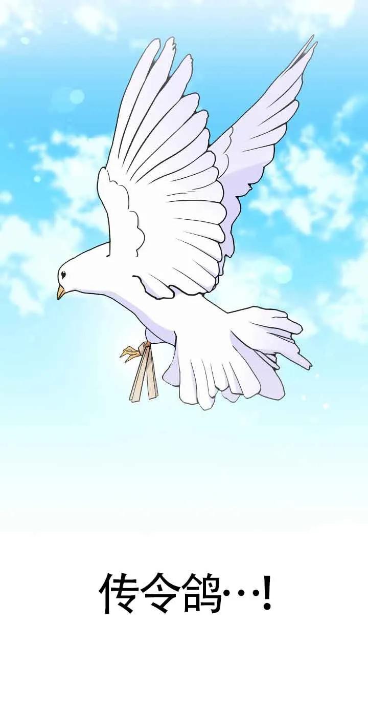 成了每晚和偏执暴君共眠的猫 - 第32话 - 第40张图