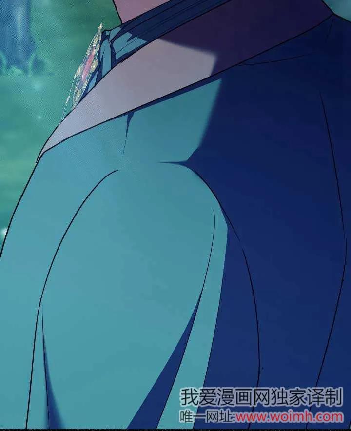 成了每晚和偏执暴君共眠的猫 - 第33话 - 第98张图