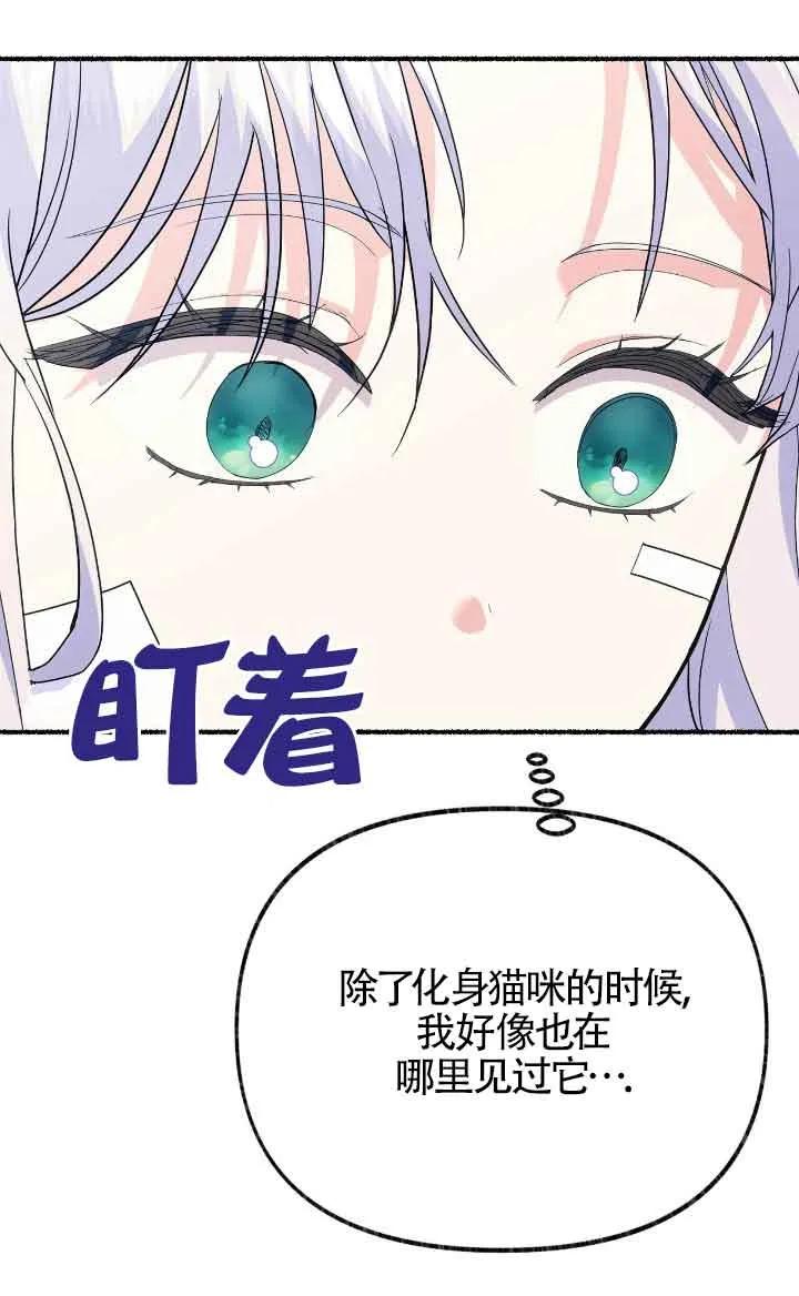 成了每晚和偏执暴君共眠的猫 - 第36话 - 第80张图