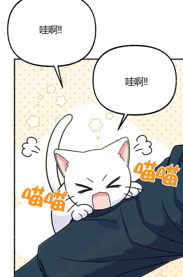 成了每晚和偏执暴君共眠的猫 - 第03话 - 第27张图