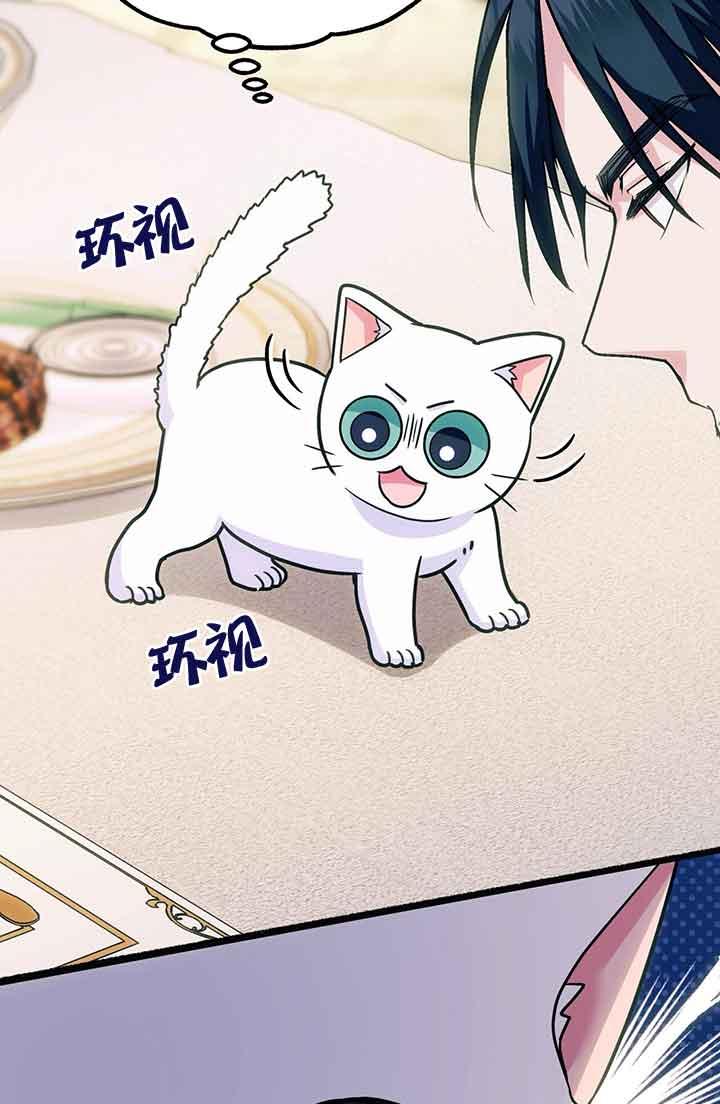 成了每晚和偏执暴君共眠的猫 - 第03话 - 第19张图