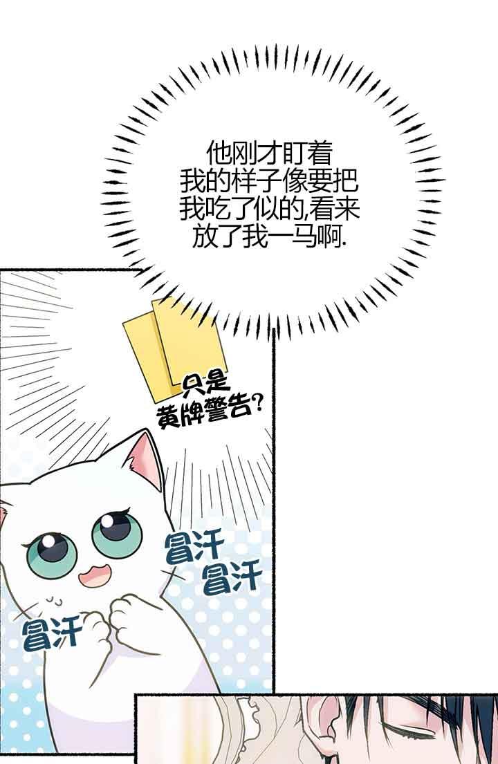 成了每晚和偏执暴君共眠的猫 - 第03话 - 第16张图