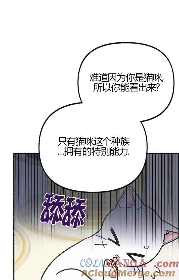 成了每晚和偏执暴君共眠的猫 - 第03话 - 第49张图