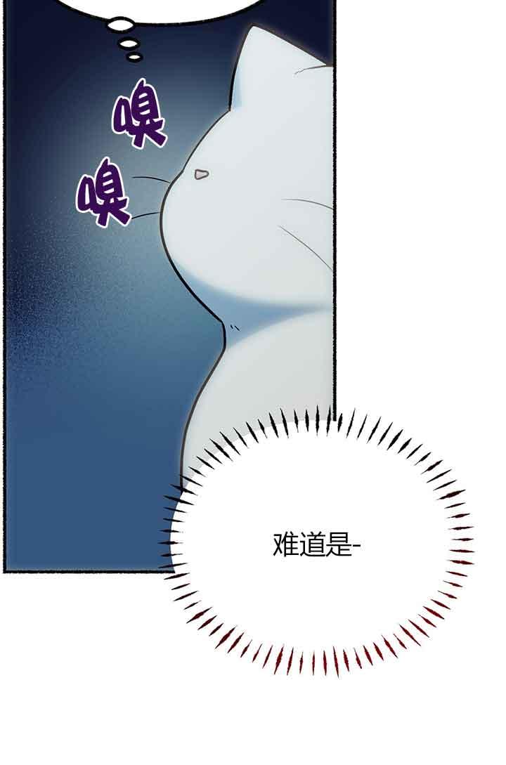 成了每晚和偏执暴君共眠的猫 - 第03话 - 第94张图