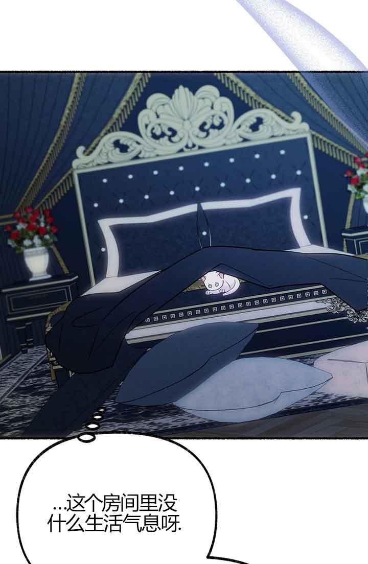 成了每晚和偏执暴君共眠的猫 - 第03话 - 第71张图