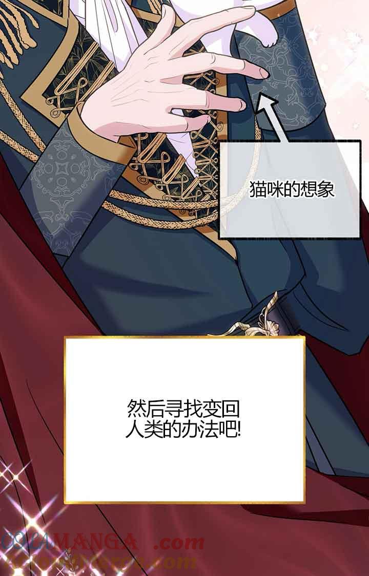 成了每晚和偏执暴君共眠的猫 - 第03话 - 第57张图