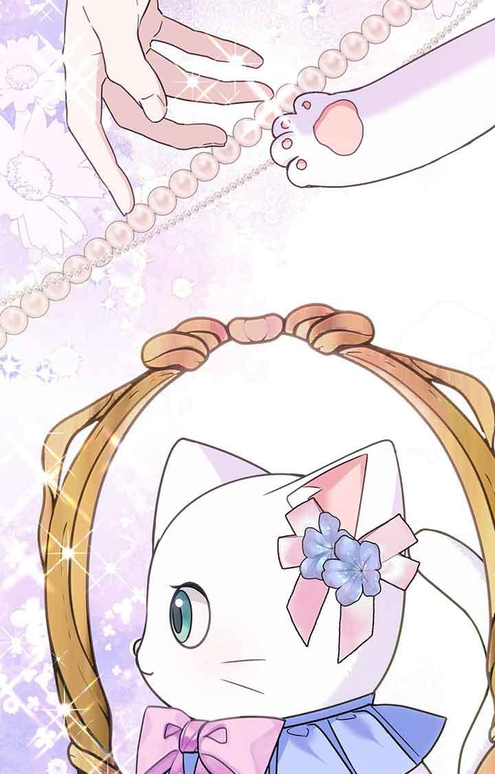 成了每晚和偏执暴君共眠的猫 - 第03话 - 第52张图