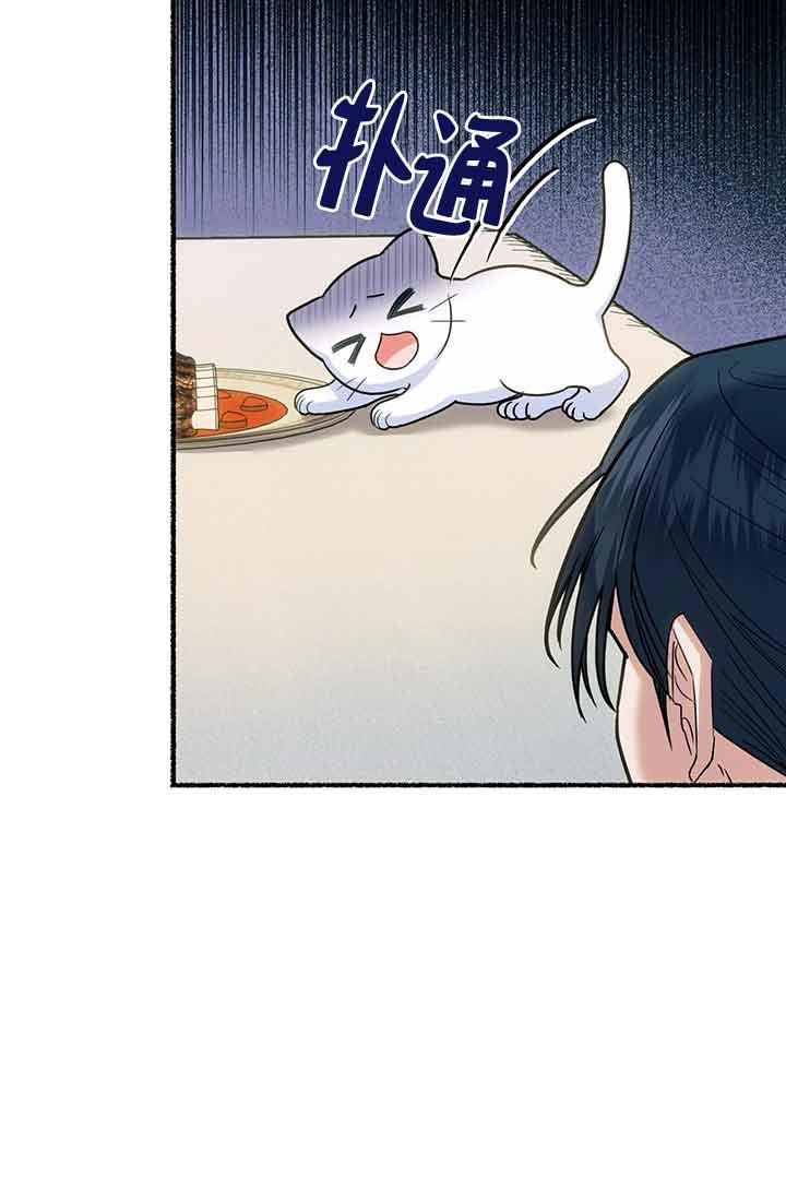 成了每晚和偏执暴君共眠的猫 - 第03话 - 第36张图
