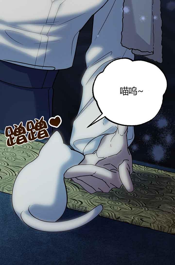 成了每晚和偏执暴君共眠的猫 - 第03话 - 第90张图