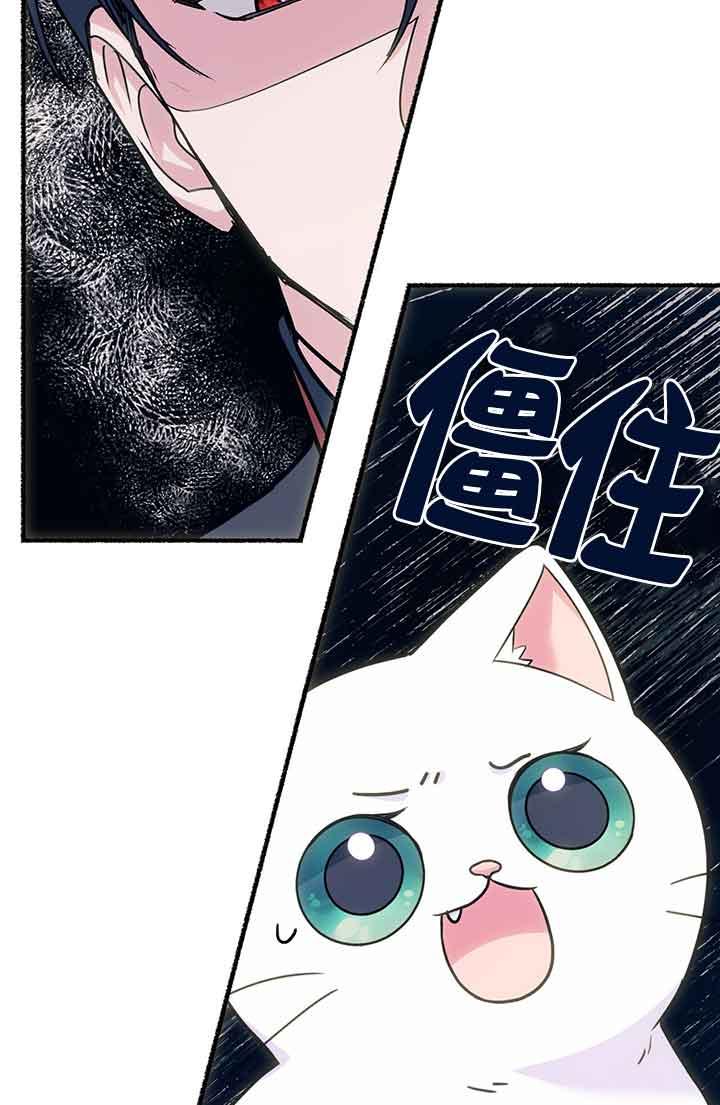 成了每晚和偏执暴君共眠的猫 - 第03话 - 第2张图