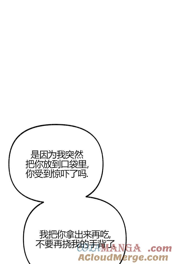 成了每晚和偏执暴君共眠的猫 - 第03话 - 第13张图