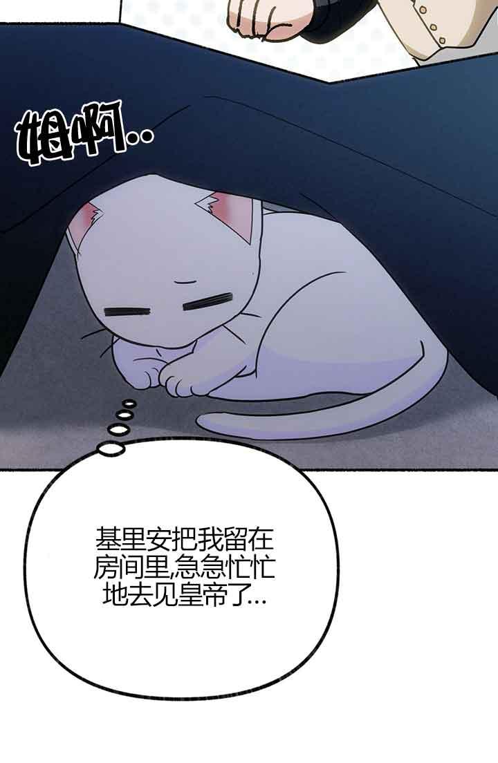 成了每晚和偏执暴君共眠的猫 - 第03话 - 第75张图