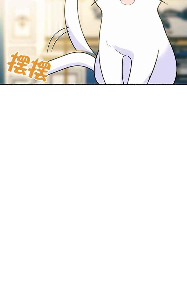 成了每晚和偏执暴君共眠的猫 - 第03话 - 第64张图