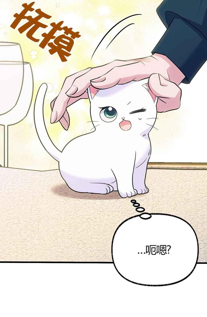 成了每晚和偏执暴君共眠的猫 - 第03话 - 第12张图
