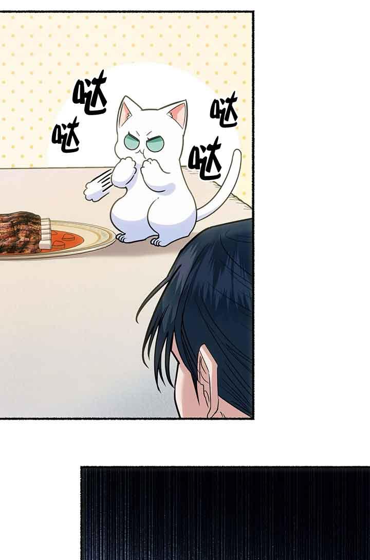 成了每晚和偏执暴君共眠的猫 - 第03话 - 第35张图