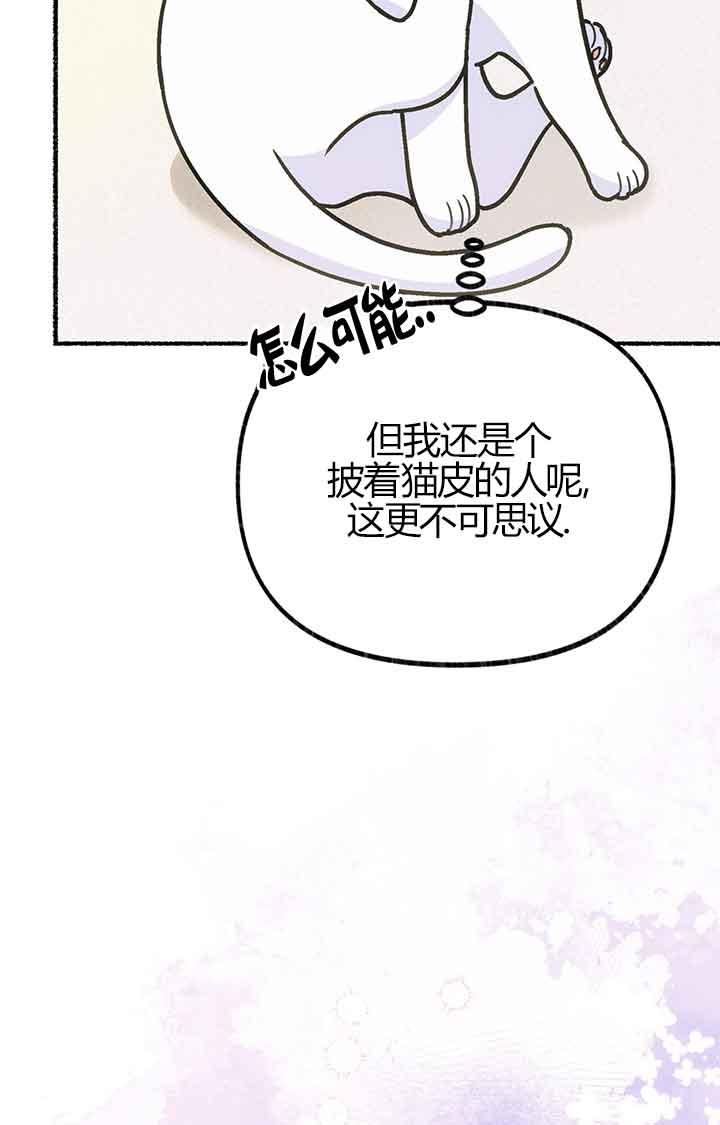 成了每晚和偏执暴君共眠的猫 - 第03话 - 第50张图