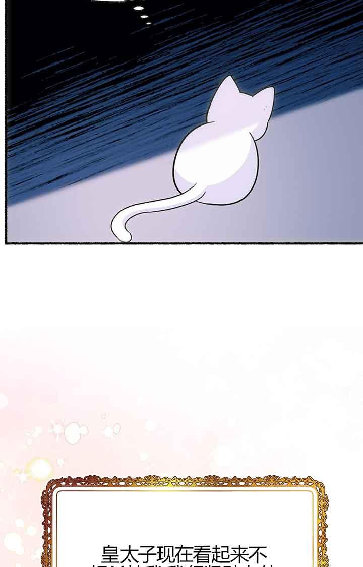 成了每晚和偏执暴君共眠的猫 - 第03话 - 第55张图