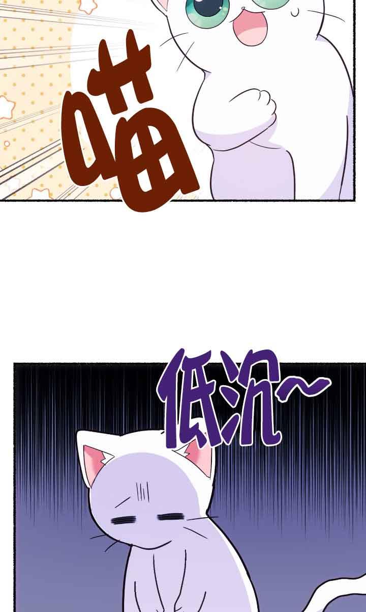 成了每晚和偏执暴君共眠的猫 - 第04话 - 第68张图