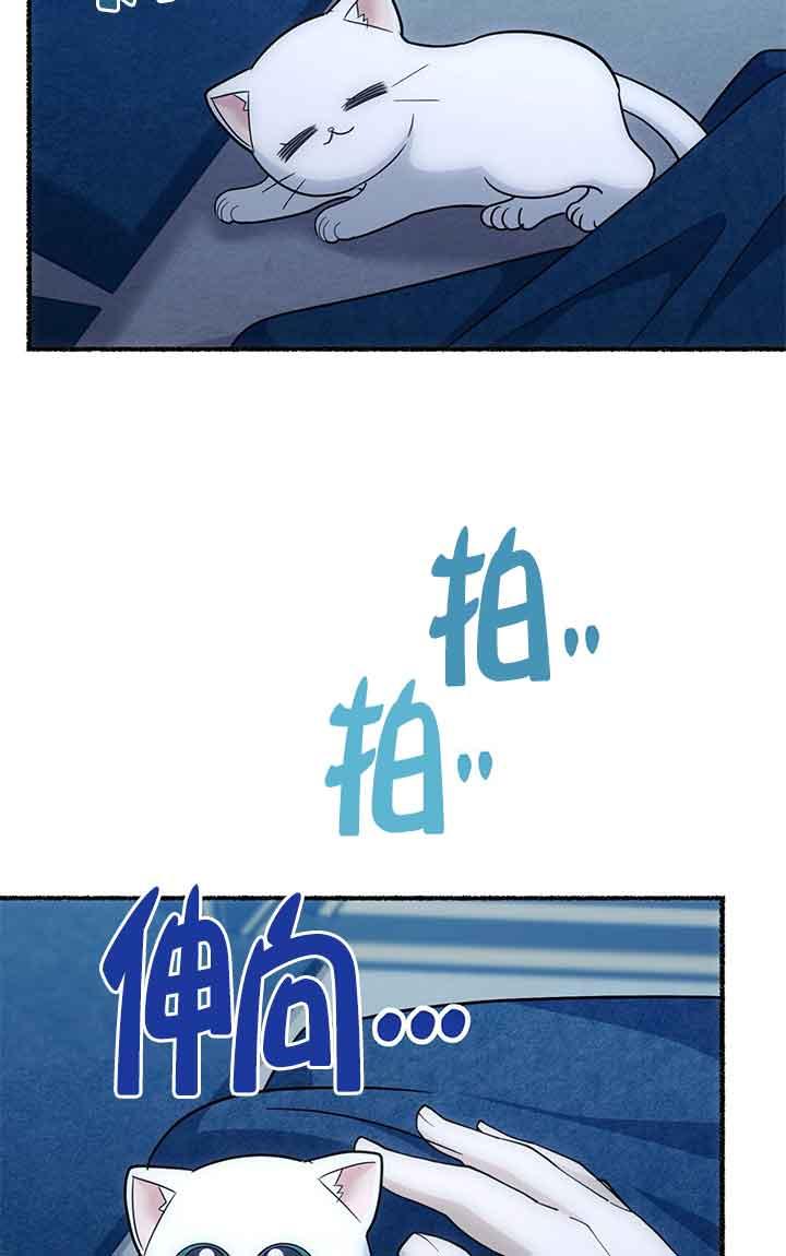 成了每晚和偏执暴君共眠的猫 - 第04话 - 第92张图
