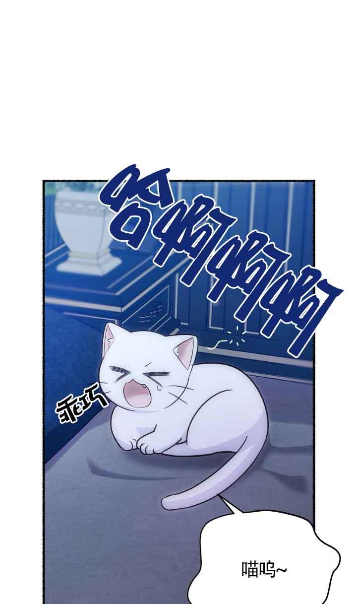 成了每晚和偏执暴君共眠的猫 - 第04话 - 第52张图