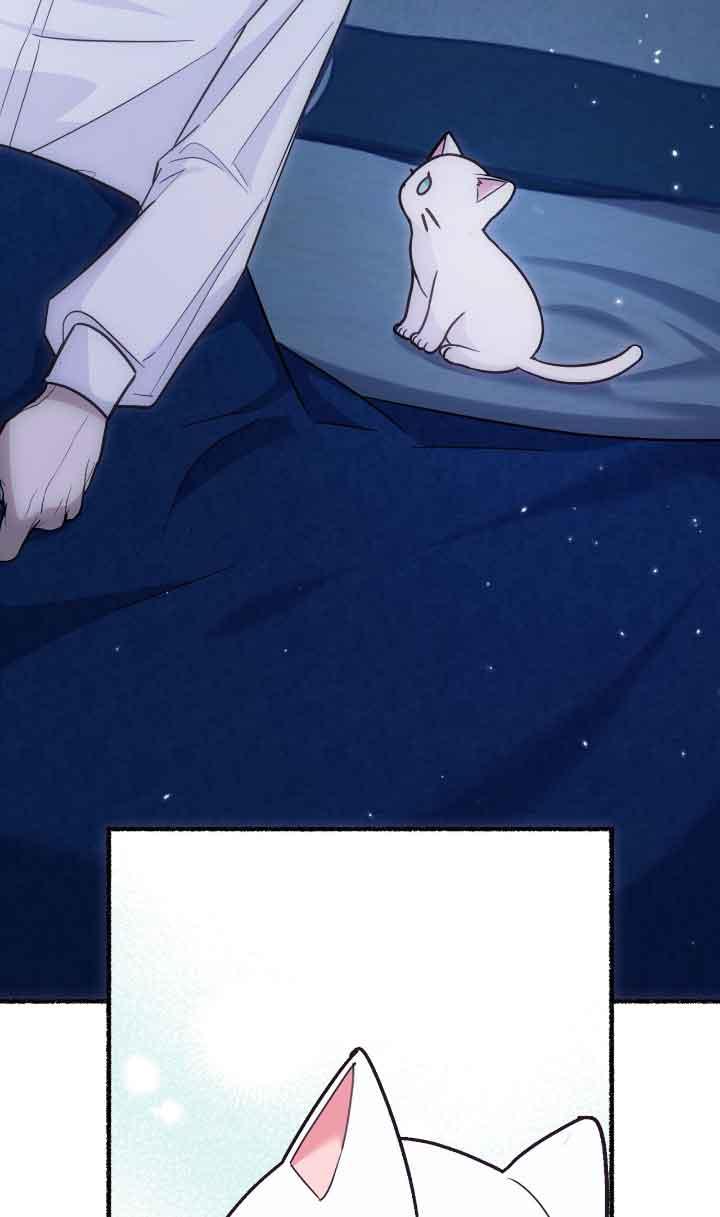成了每晚和偏执暴君共眠的猫 - 第04话 - 第60张图