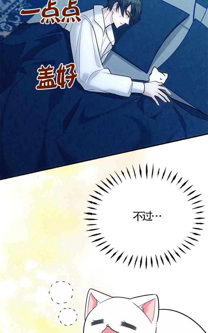 成了每晚和偏执暴君共眠的猫 - 第04话 - 第94张图