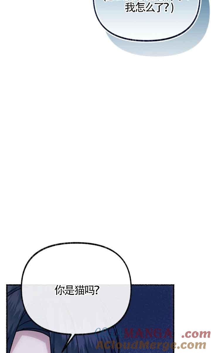 成了每晚和偏执暴君共眠的猫 - 第04话 - 第65张图