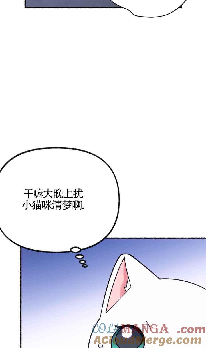 成了每晚和偏执暴君共眠的猫 - 第04话 - 第53张图