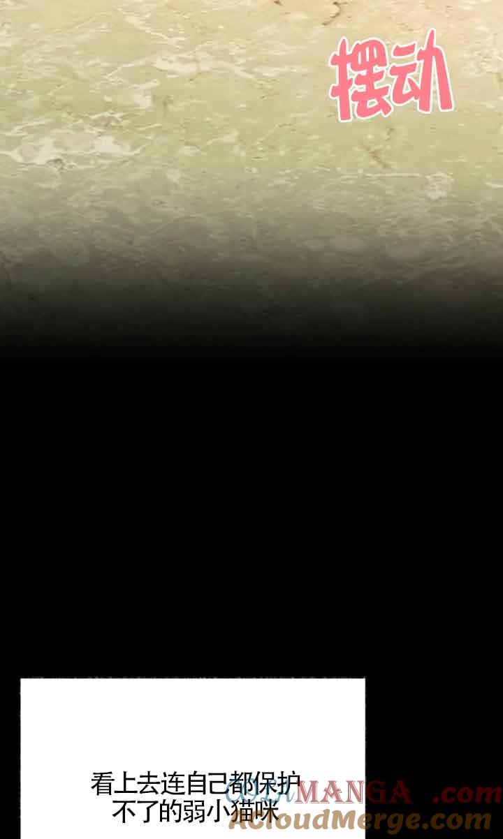 成了每晚和偏执暴君共眠的猫 - 第04话 - 第25张图