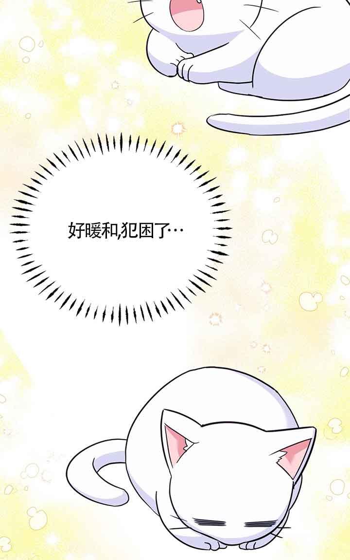 成了每晚和偏执暴君共眠的猫 - 第04话 - 第95张图