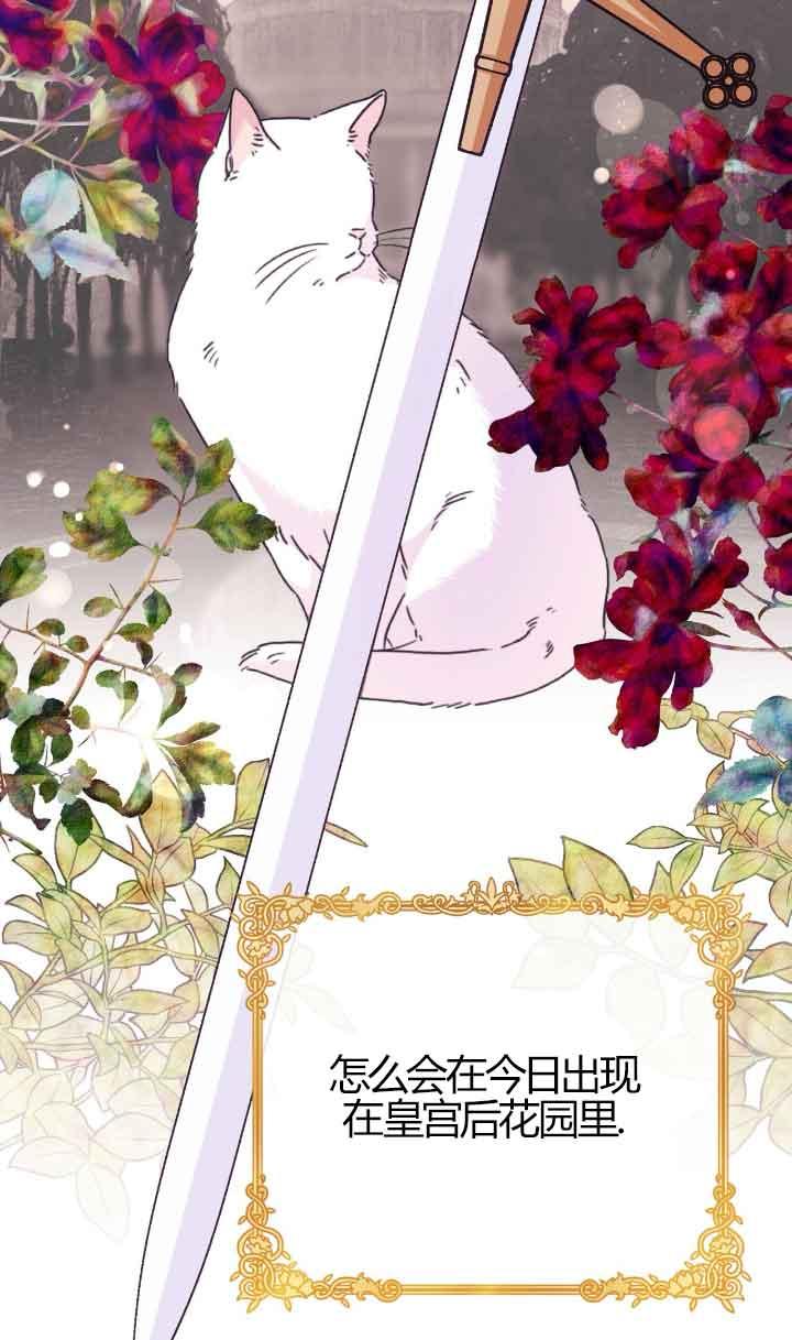 成了每晚和偏执暴君共眠的猫 - 第04话 - 第19张图