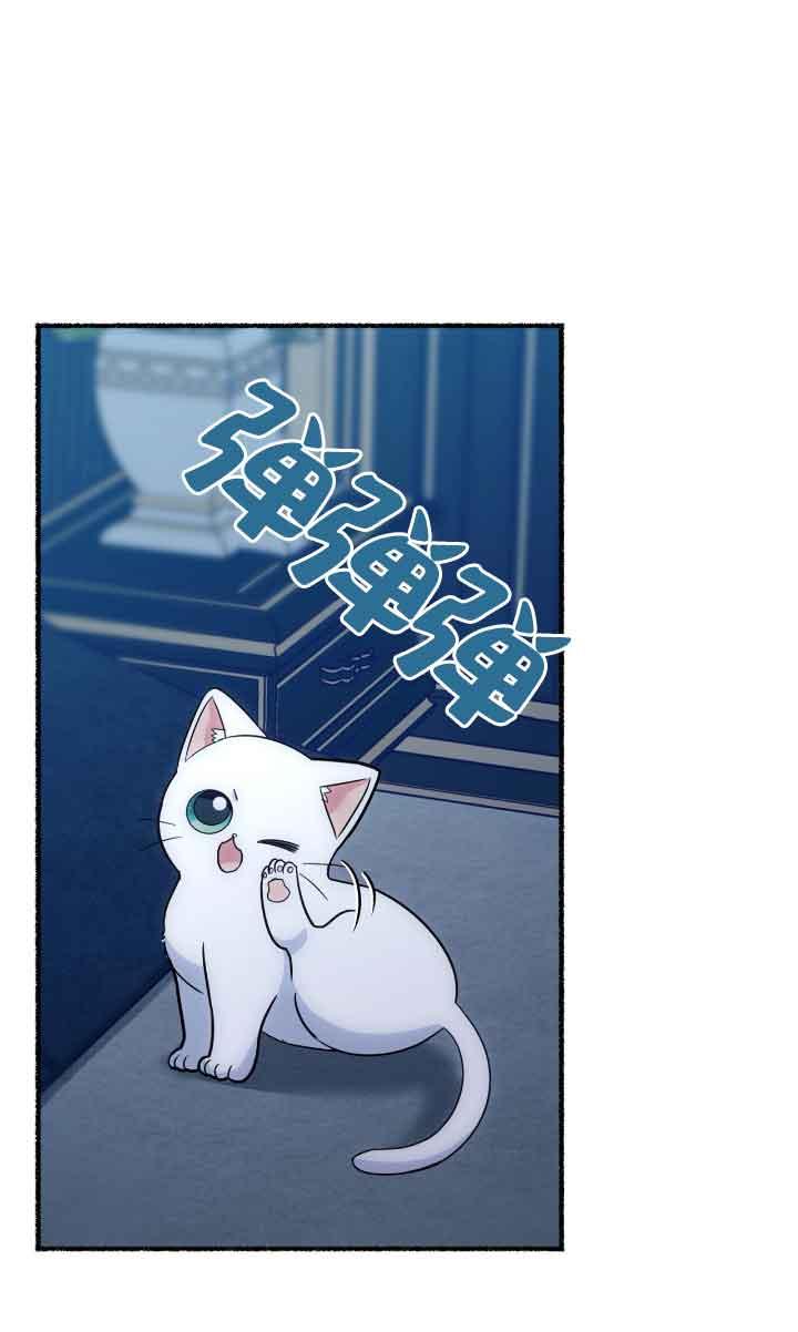 成了每晚和偏执暴君共眠的猫 - 第04话 - 第79张图