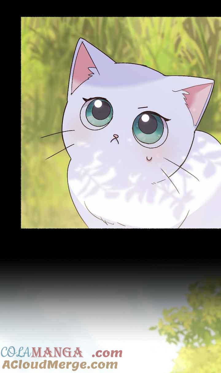 成了每晚和偏执暴君共眠的猫 - 第04话 - 第13张图