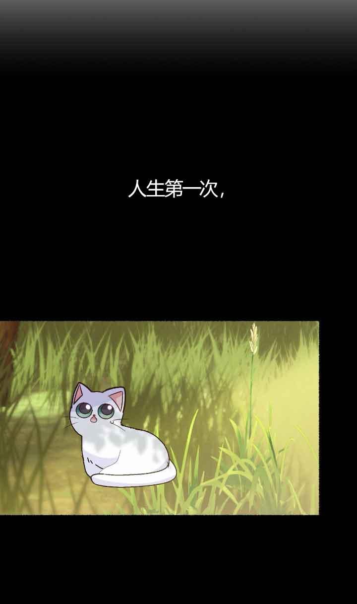 成了每晚和偏执暴君共眠的猫 - 第04话 - 第12张图
