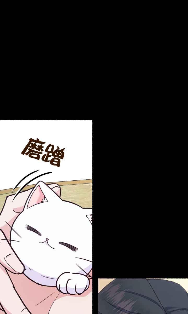 成了每晚和偏执暴君共眠的猫 - 第04话 - 第22张图