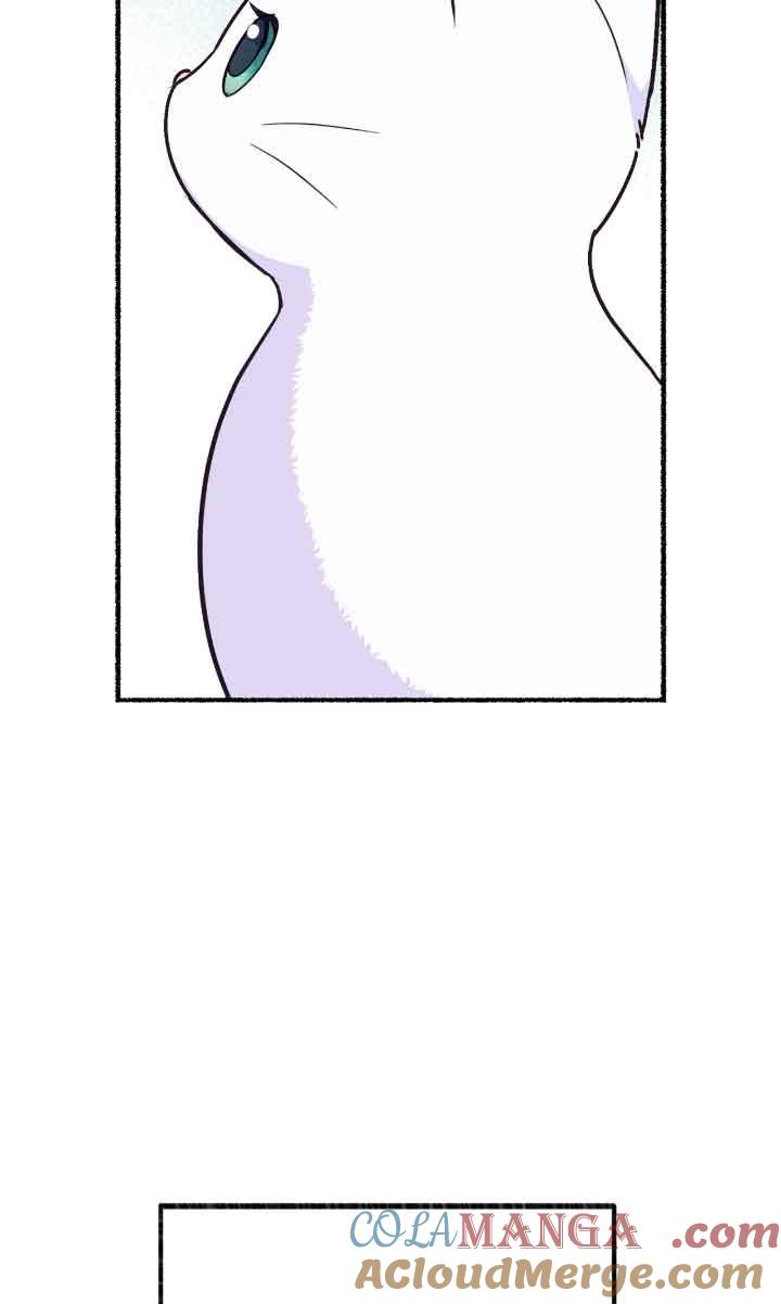 成了每晚和偏执暴君共眠的猫 - 第04话 - 第61张图